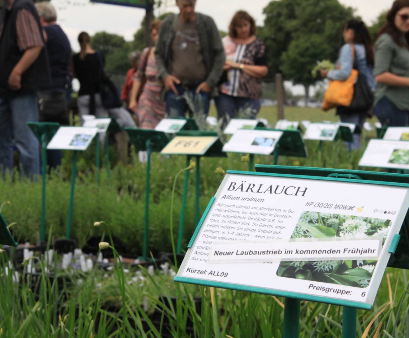 Impression aus Sottrum